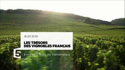 Les trésors des vignobles français_ 29 12 16