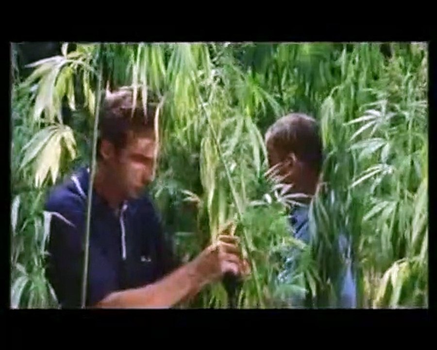 Lammbock Trailer DF