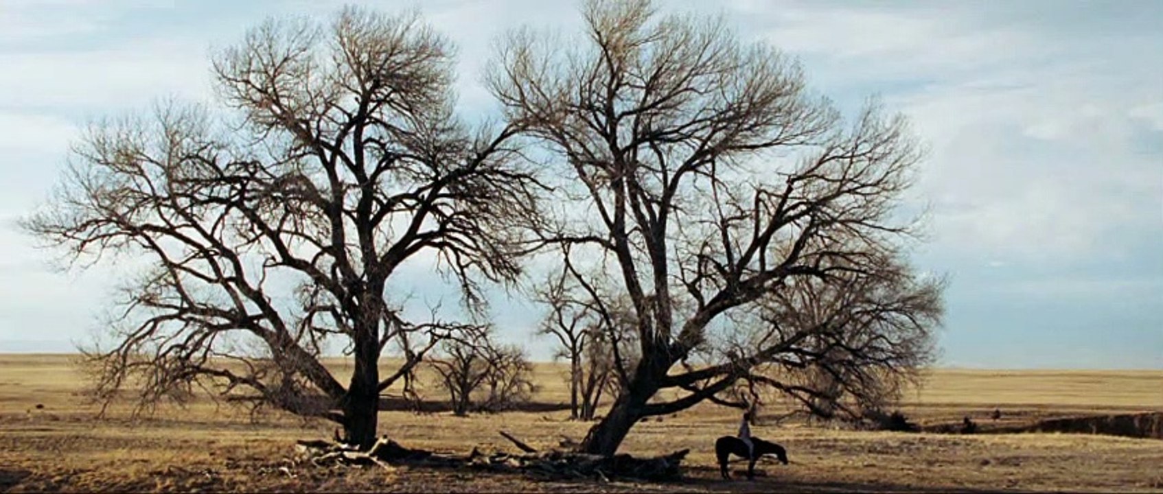 The Homesman Trailer DF