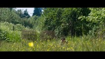 The Driftless Area - Nichts ist wie es scheint Trailer (2) OV