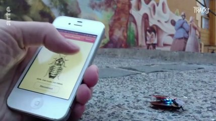 Zapping du 09/07 : Il contrôle le cerveau d’un cafard depuis son smartphone