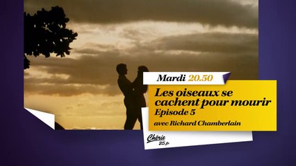 Les Oiseaux se cachent pour mourir - 11/08/15