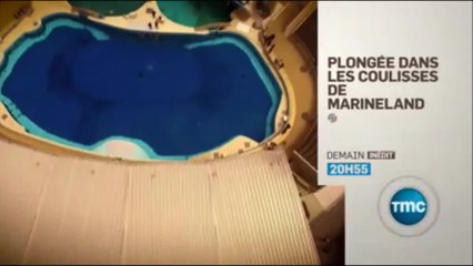 Plongée dans les coulisses de Marineland - 24/08/16