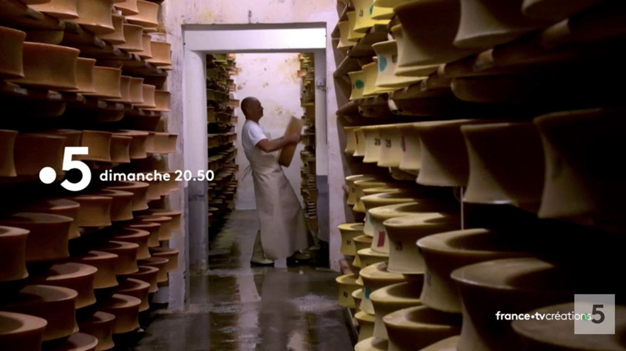 Fromages de montagne, au sommet du goût ? (France 5) bande-annonce