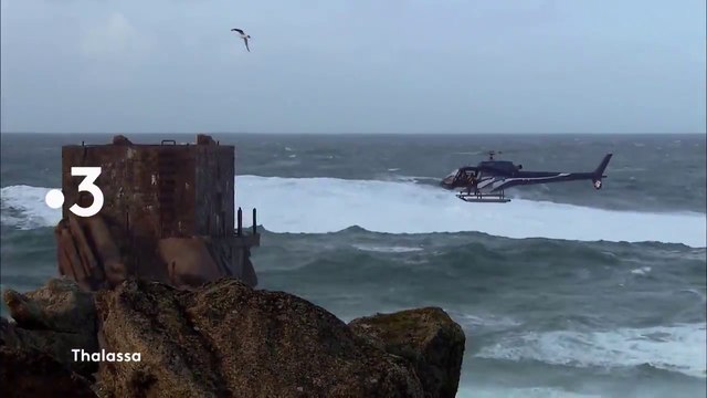 Thalassa (france 3) - De la Bretagne à L'Île Maurice