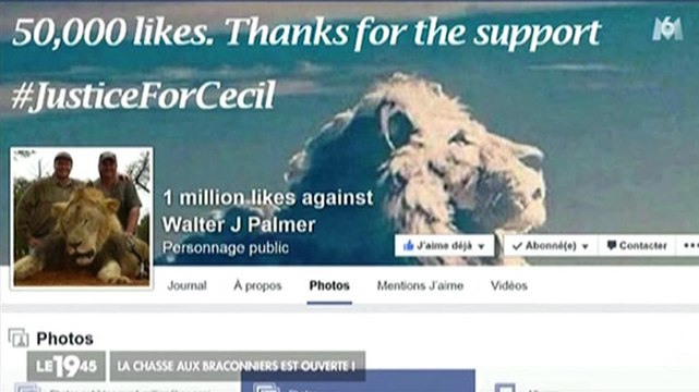 Le zapping du 04/08 : Walter Palmer, le tueur du lion Cecil, traqué à travers le monde