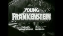 Frankenstein Jr - VO