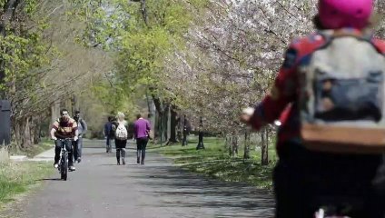 Girls - staffel 4 Teaser OV