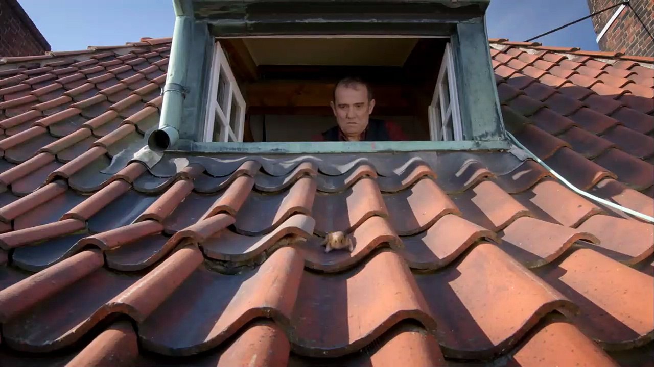 Rettet Raffi! Teaser DF