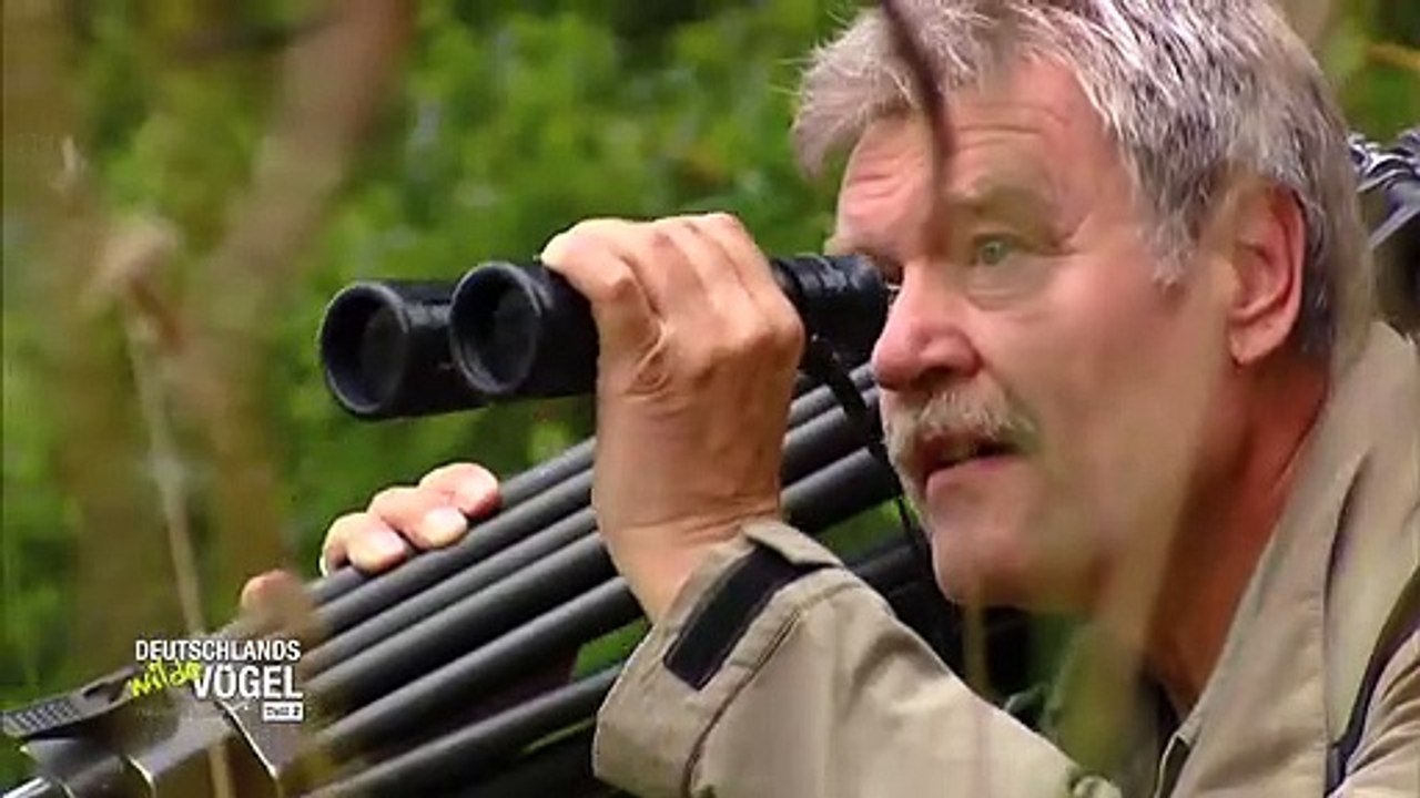 Deutschlands wilde Vögel - Teil 2 - Die Reise geht weiter Trailer DF