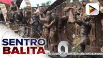 Ang 'timeless beauty' at mga masasarap na pagkain ng Iloilo na talaga namang dinarayo ng mga turista, silipin