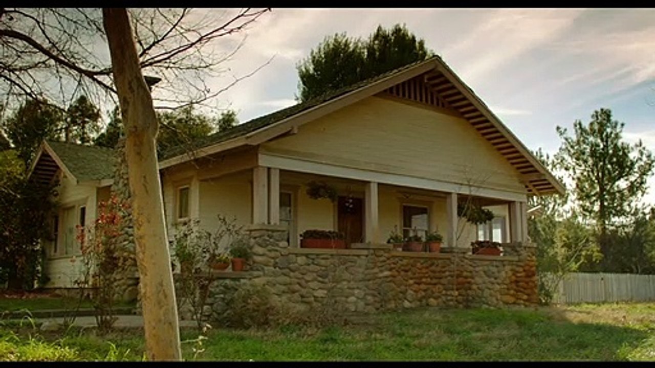 Always Woodstock Trailer DF