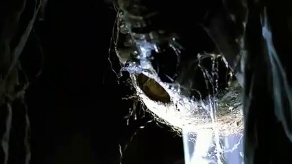 The Toolbox Murders Trailer DF