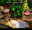 Donkey Kong Country online multiplayer - snes