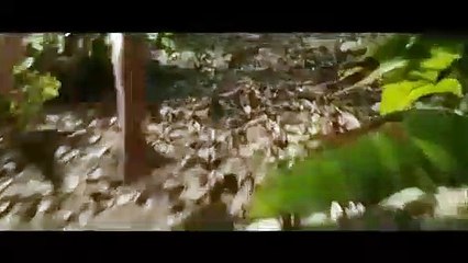 The Jungle Book - Super Bowl TV Spot