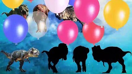 CUTE ANIMALS Dinosaurs Tyrannosaurus Rex  귀여운 동물 공룡 티라노사우르스 렉스