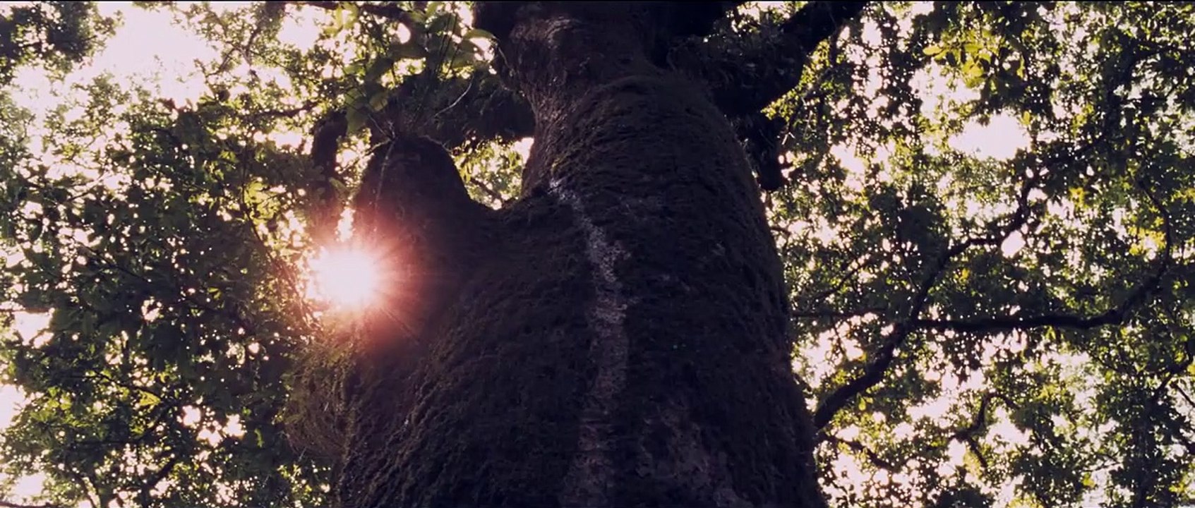 The Liberator Trailer DF