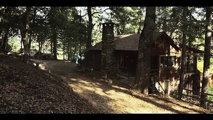 Black Marigolds Trailer OV