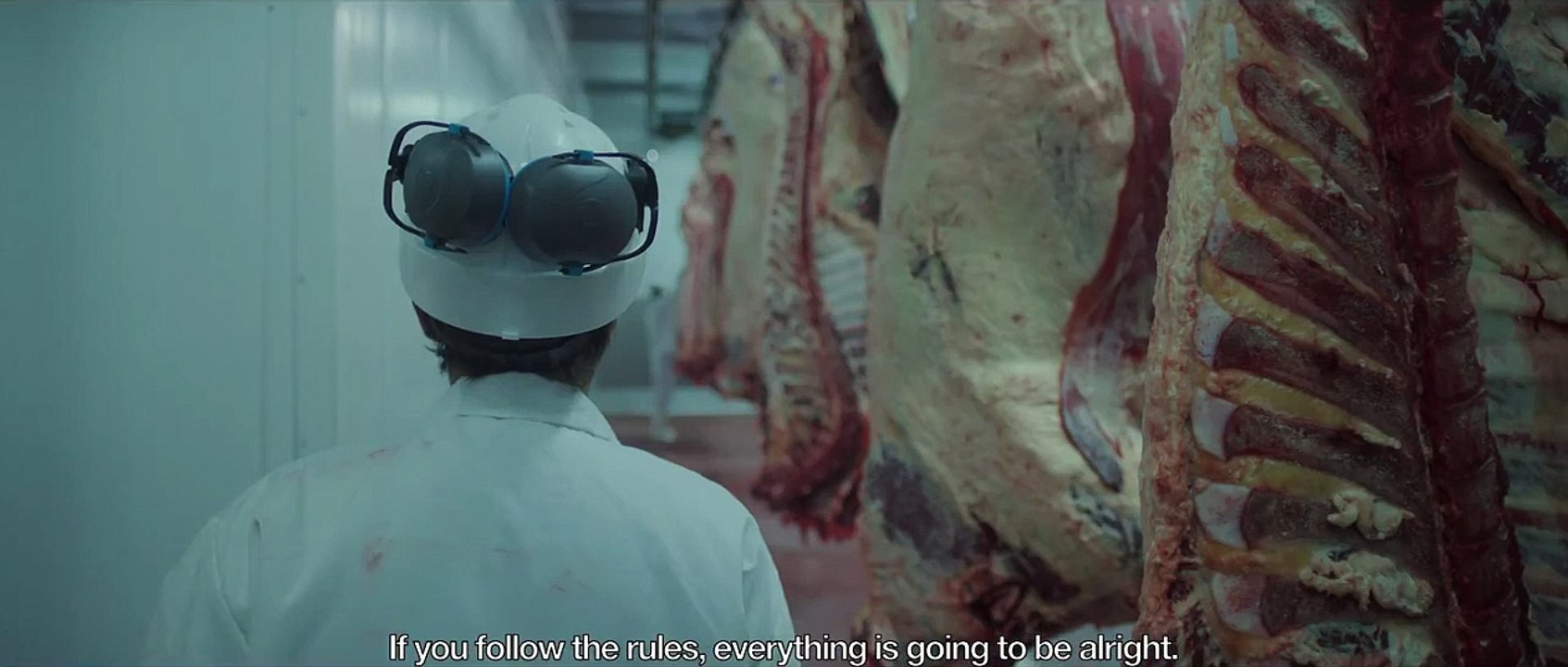 Animal Teaser OmeU