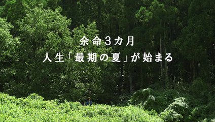 Pieta In The Toilet Trailer OV