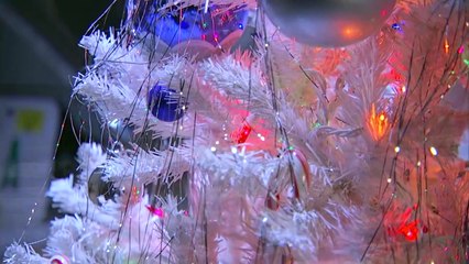 Super Dogs Summer House Trailer OV