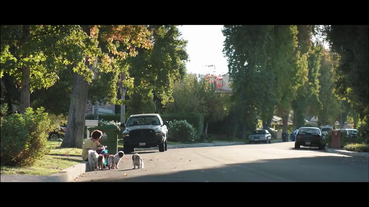 Four Dogs Trailer (2) OV