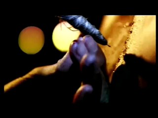 The Tiger Blade Trailer (2) OV