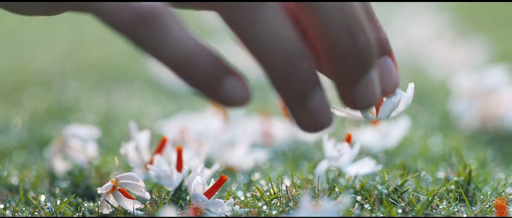 October Trailer OV