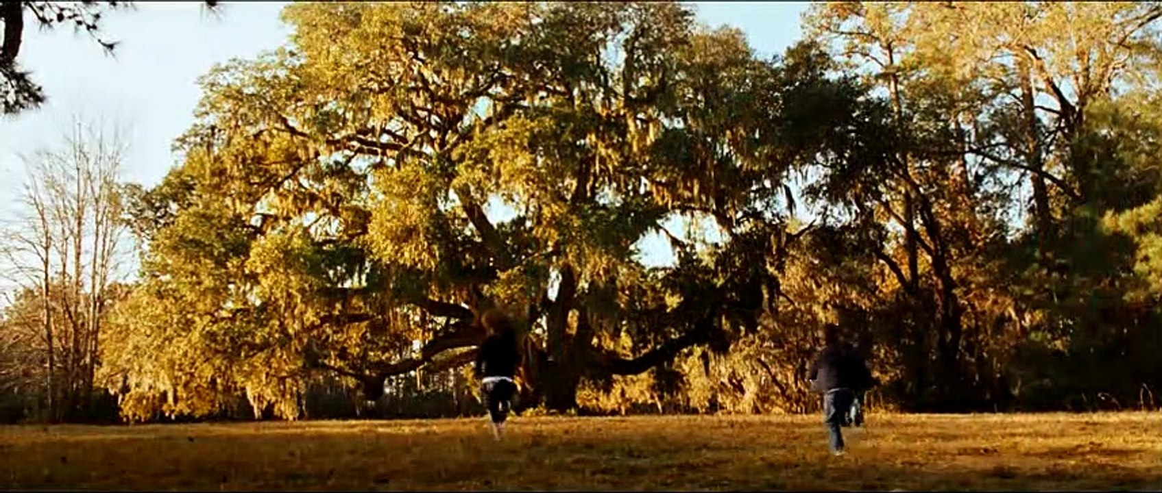 The New Daughter Trailer DF