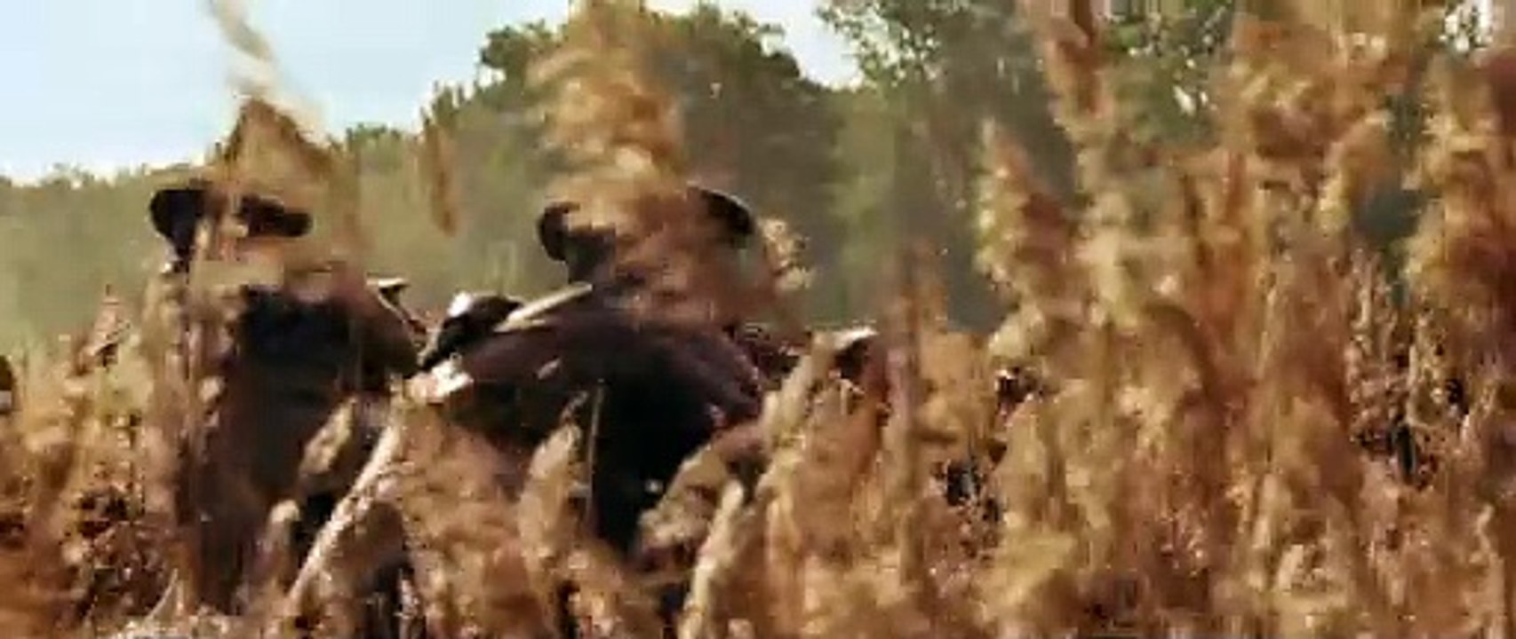 Gefährten Trailer DF