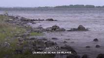 la Mouche de mai en Irlande - 15/12/16