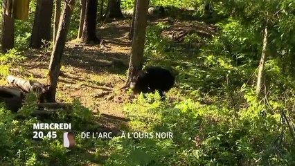 De L'arc à l'ours noir - 21/12/16