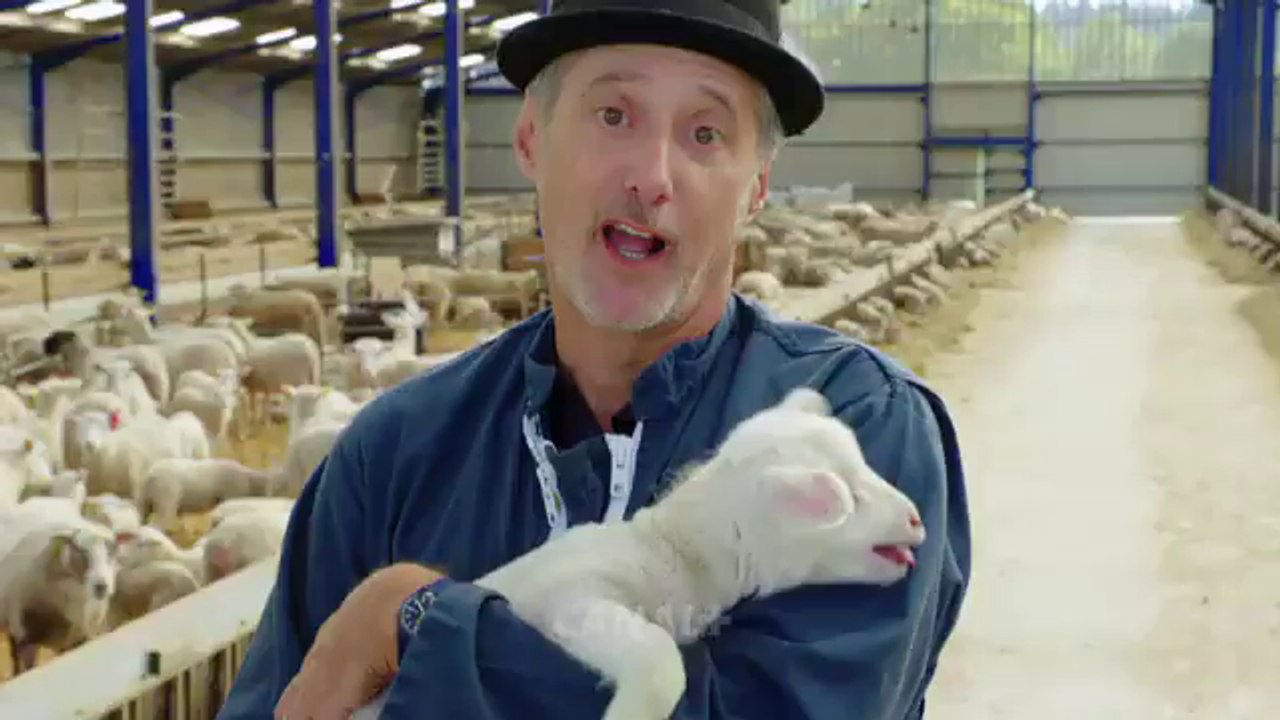 La Gaule d'Antoine - canal+- 13 12 17