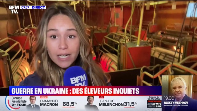 Flambée des prix des céréales: On est autour de 12.000 euros de plus par mois , s'inquiète cet éleveur