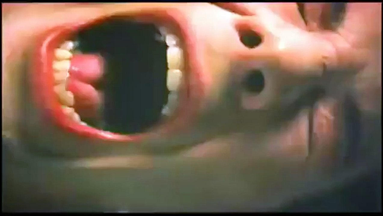 Matrix Trailer (2) DF