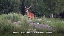 Chasse à cheval dans les montagnes catalanes - 14/12/16