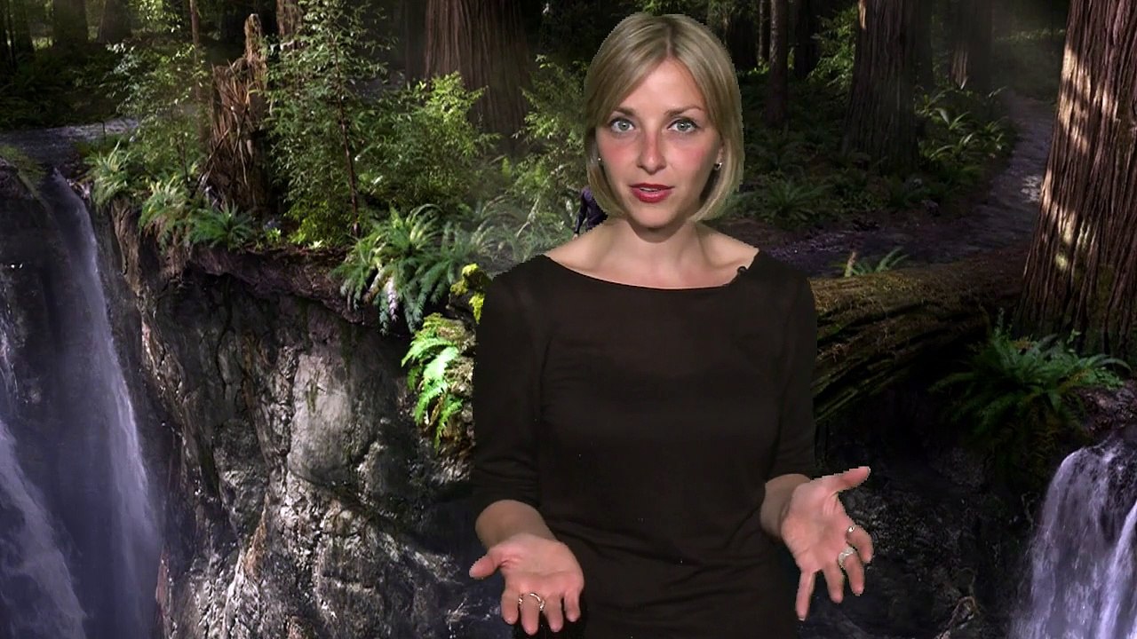 After Earth / Snitch - Ein riskanter Deal / Before Midnight