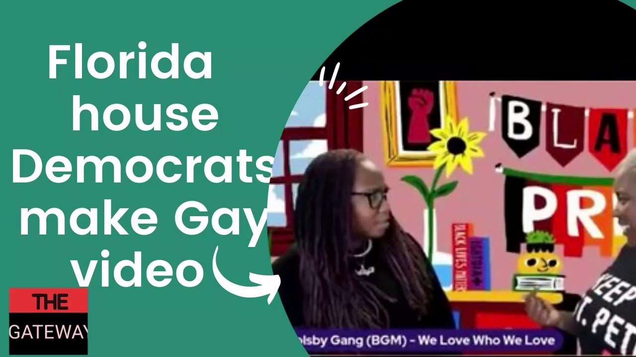 Florida House Democrats Make 'Gay Video'