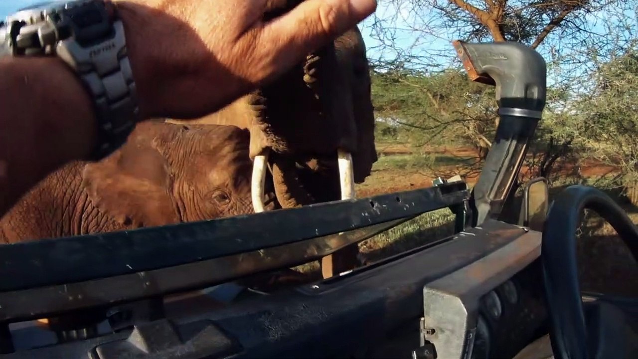 African Safari 3D Trailer DF