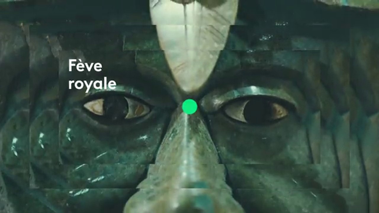 A la recherche des tombes royales (France 5) bande-annonce mayas