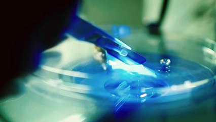 Errors Of The Human Body Trailer DF