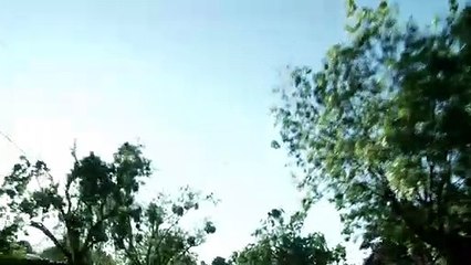 Hush Hush - Ein ausdrucksstarker Film über eine sprachlose Ehe Trailer OV