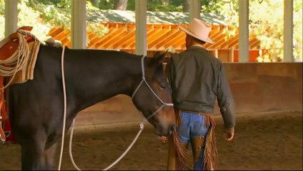 Buck - Der wahre Pferdeflüsterer Trailer OV