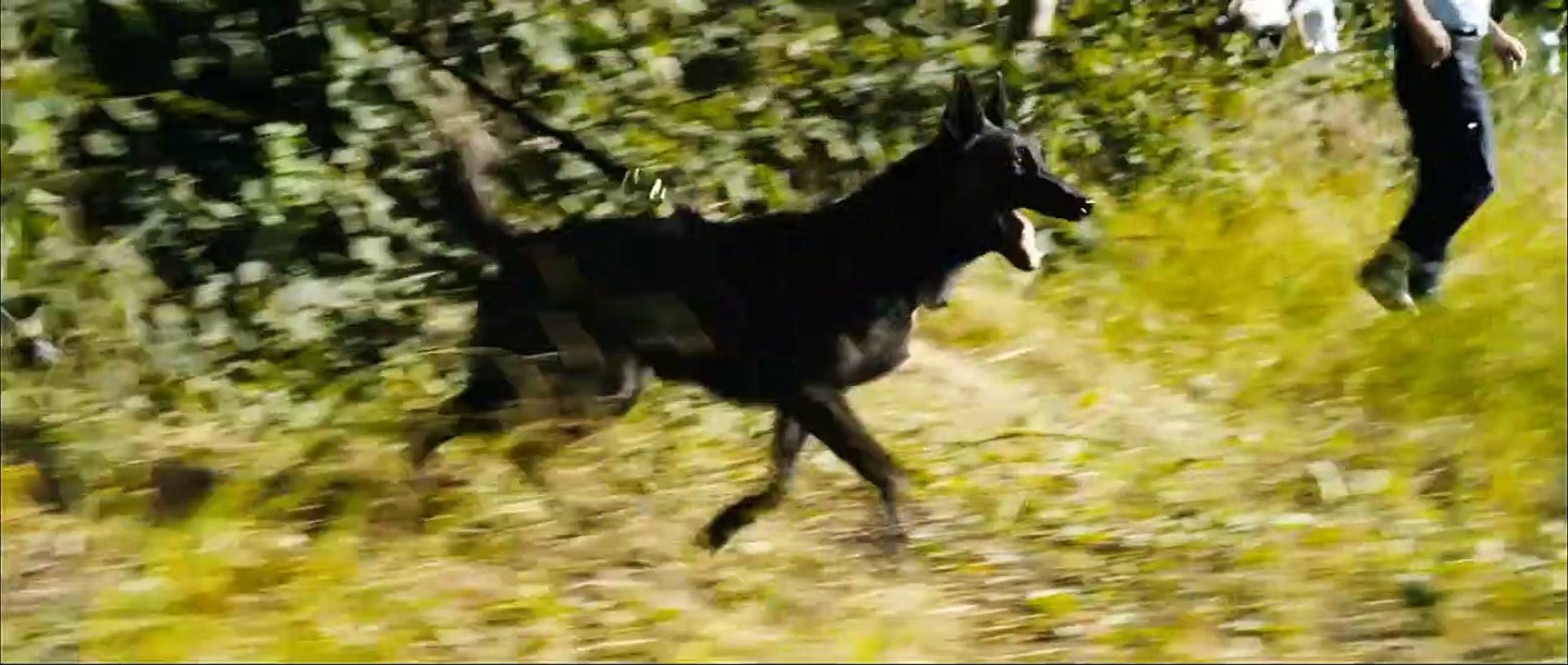 On the Run Trailer OV