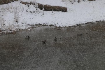 Kar etkisini sürdürüyor