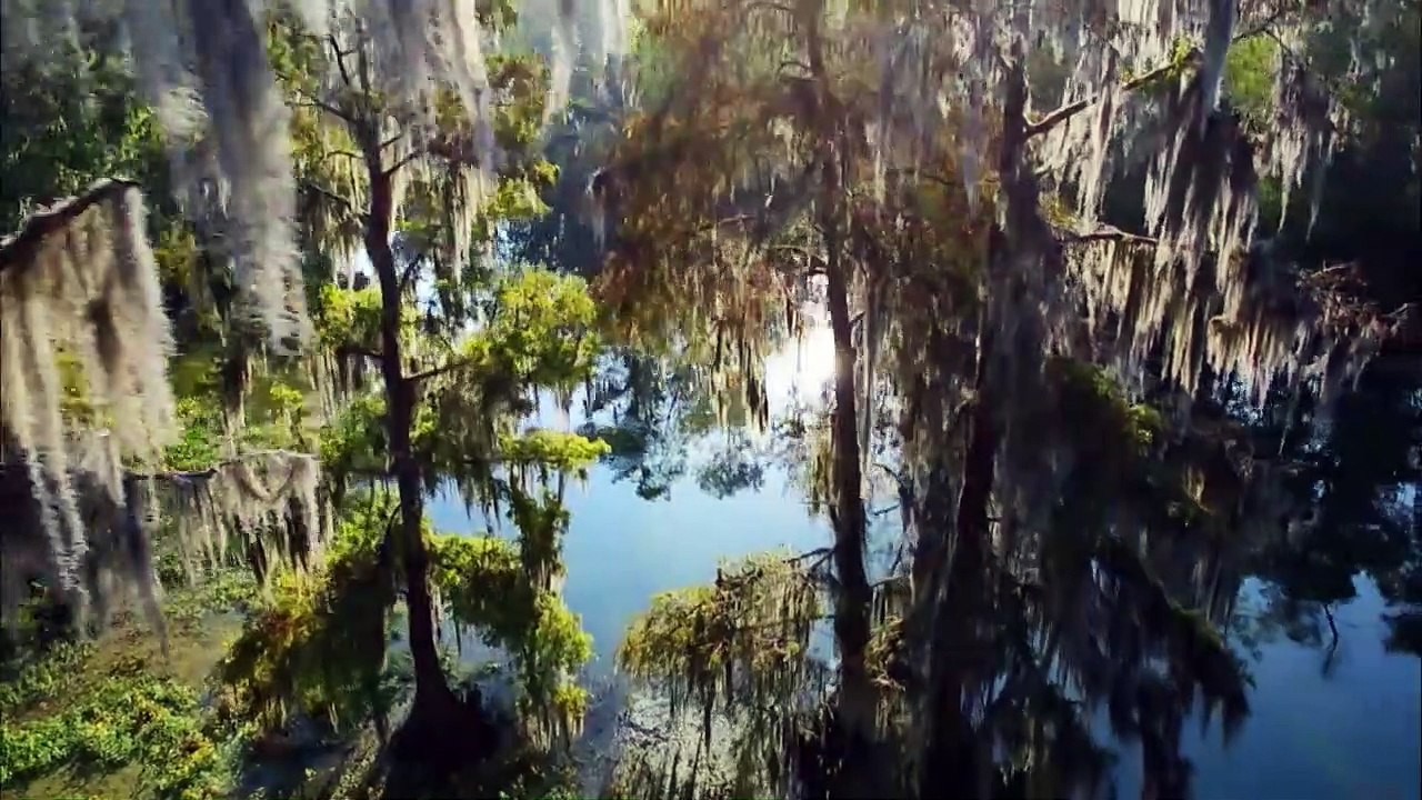 Wildes Sumpfland USA Trailer DF