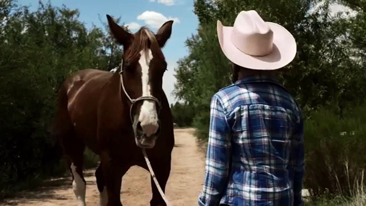 Die Magie der Pferde Trailer DF