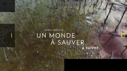 Un Monde à sauver - Nat Geo