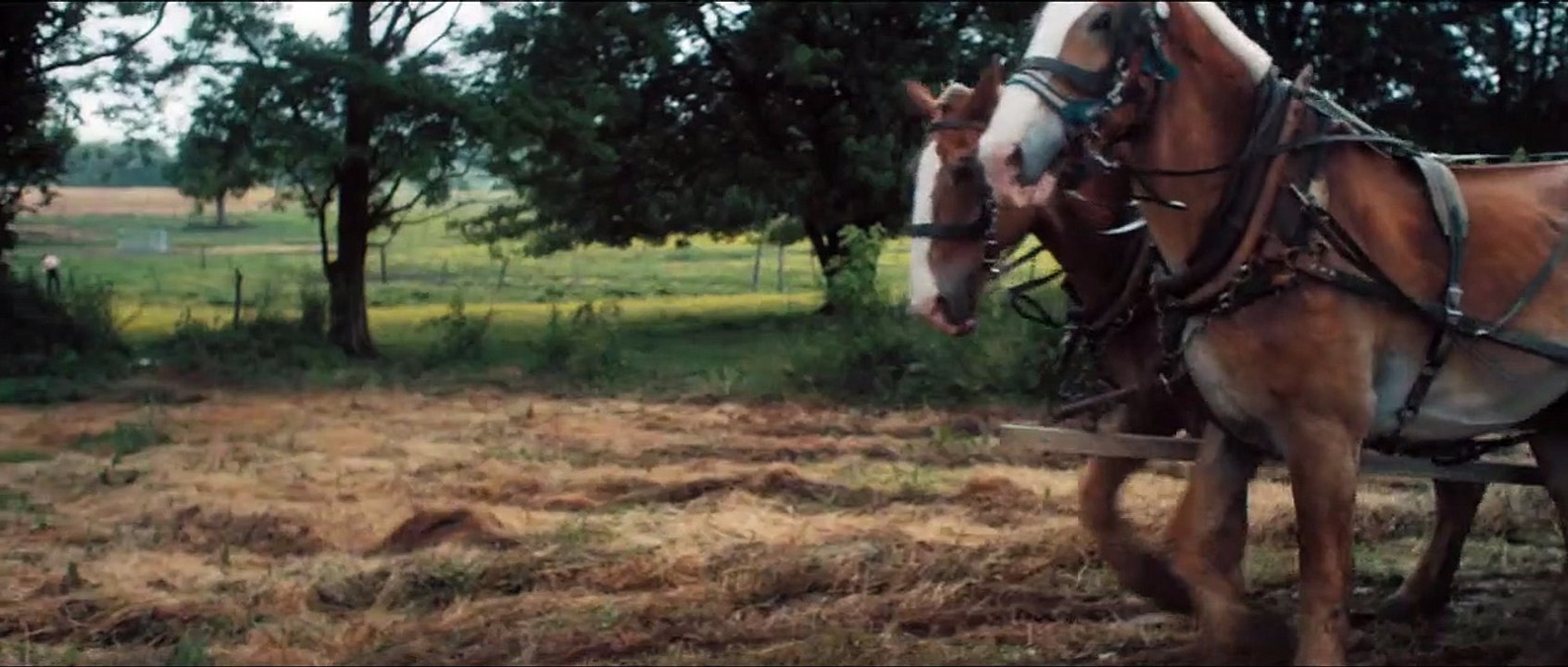 The Harvesting - Die Sonnenwende naht Trailer DF