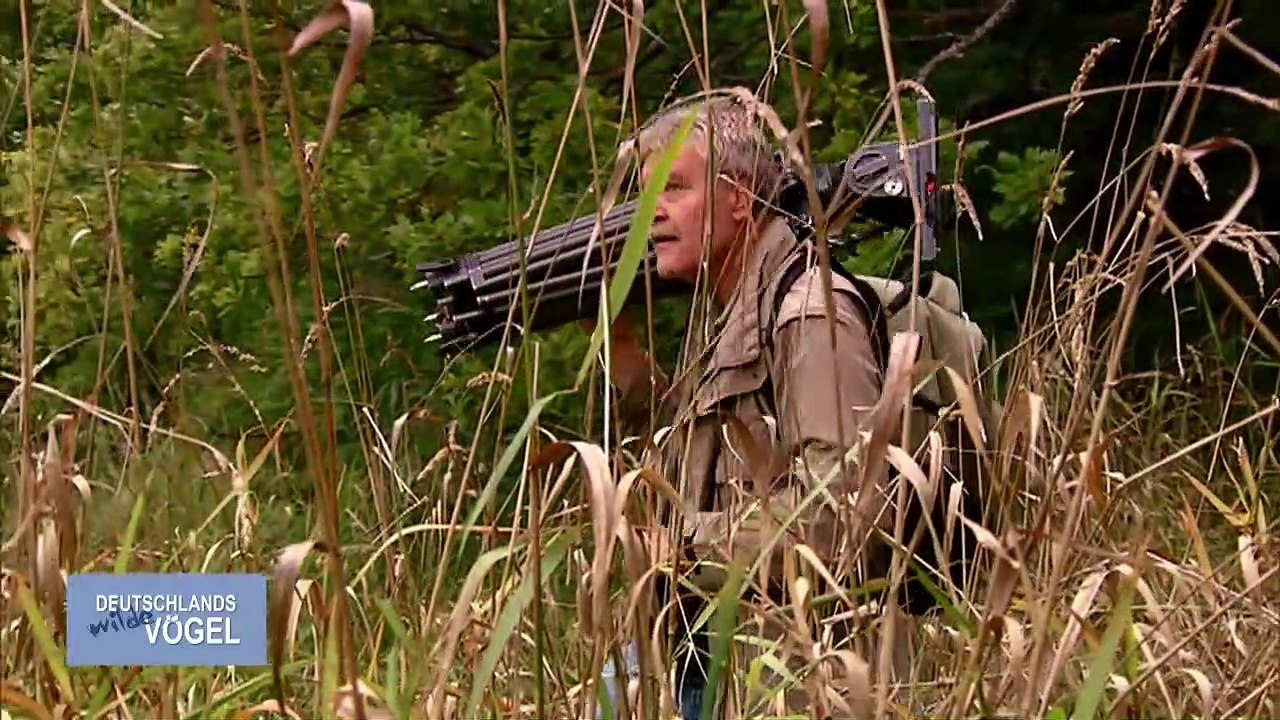 Deutschlands wilde Vögel Trailer DF